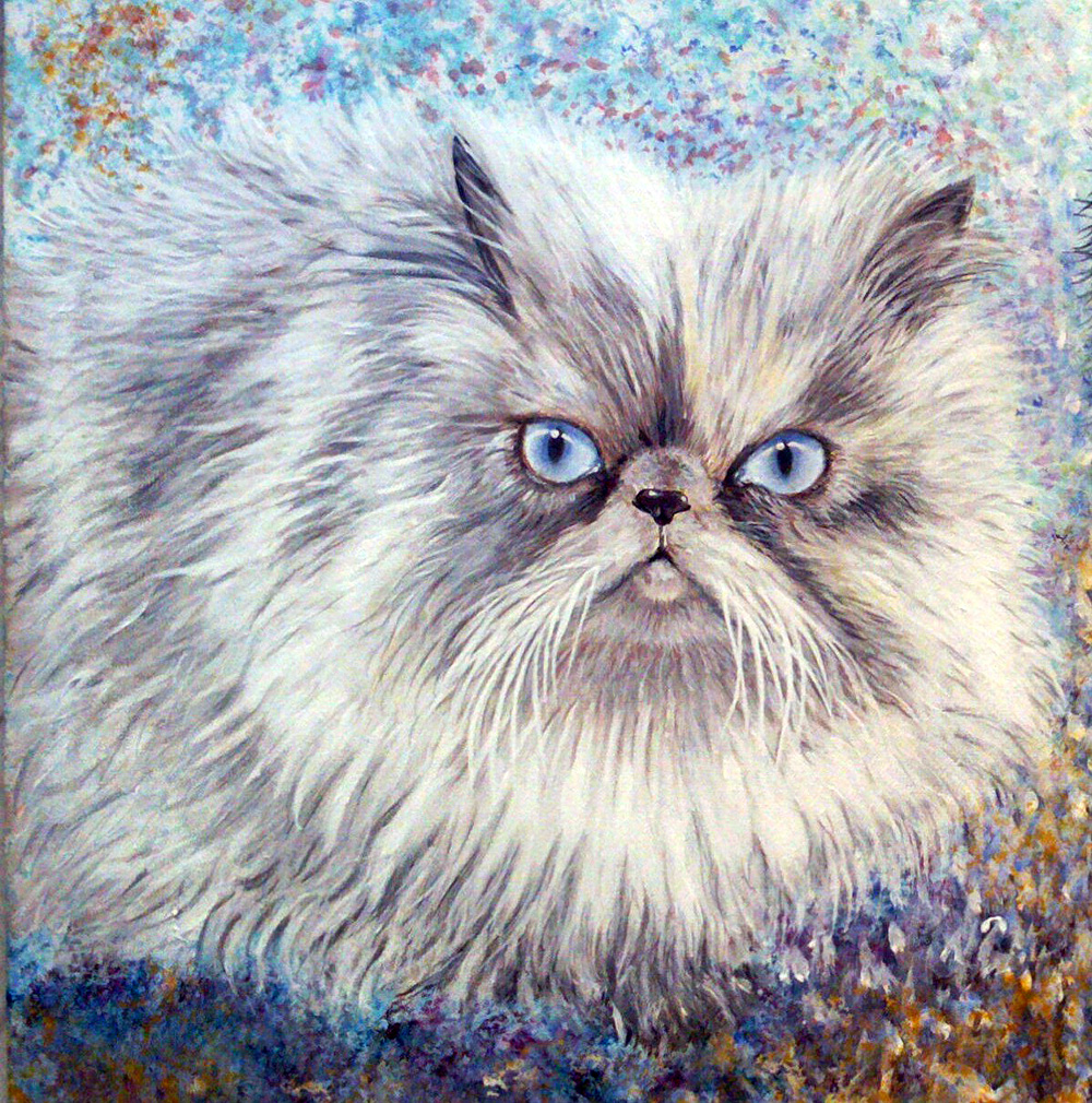 Ritratto di gatto – Acrilico su tela 40x50