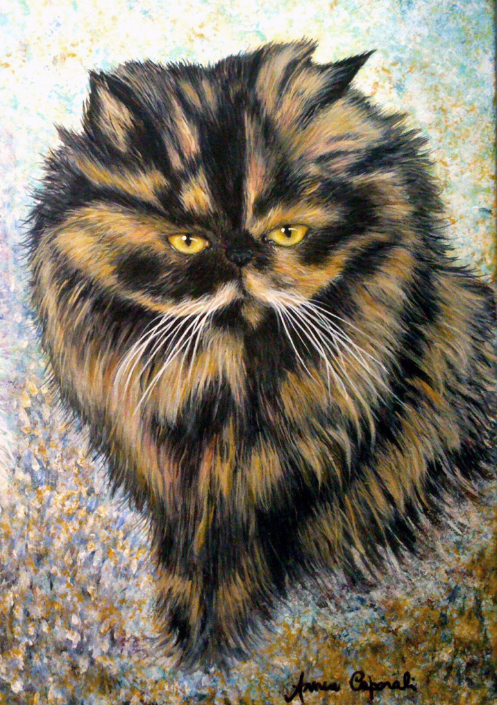 Ritratto di gatto – Acrilico su tela 40x50