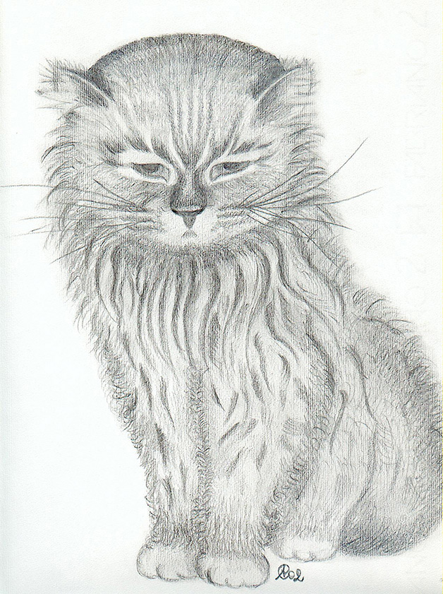 Gatto (2002)