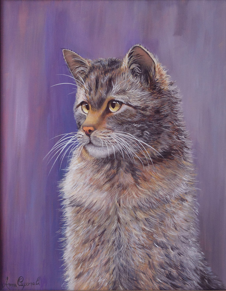 Gatto selvatico - Acrilico su tela 40x50