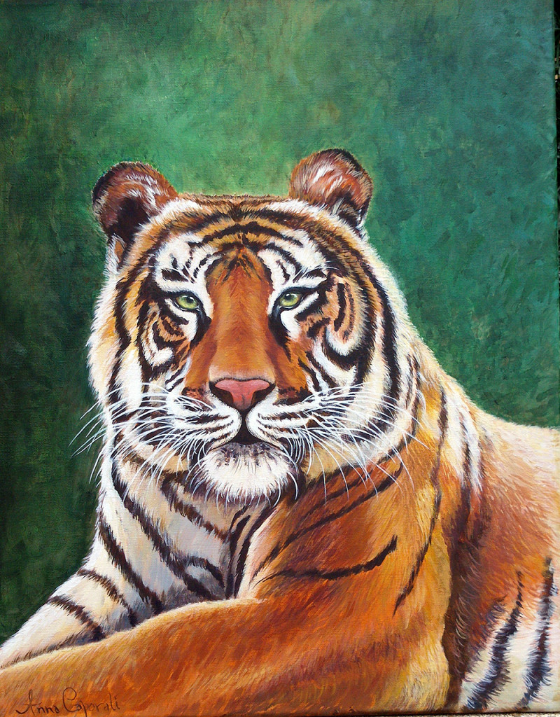 Tigre – Acrilico su tela 40x50